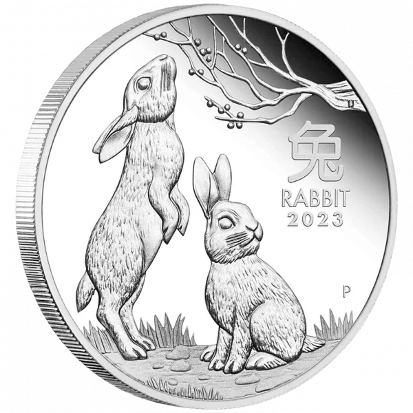 2023 50c Year of the Rabbit 1/2oz Silver Proof Coin - Image 2